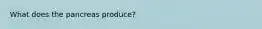 What does the pancreas produce?