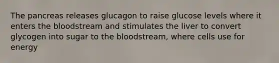 The pancreas releases glucagon to raise glucose levels where it enters the bloodstream and stimulates the liver to convert glycogen into sugar to the bloodstream, where cells use for energy