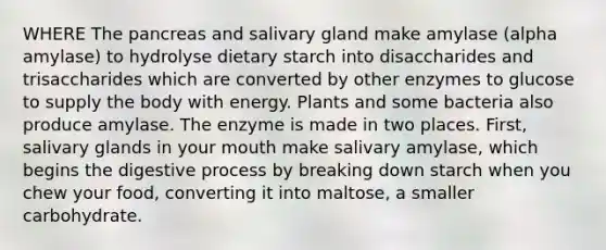 WHERE The pancreas and salivary gland make amylase (alpha amylase) to hydrolyse dietary starch into disaccharides and trisaccharides which are converted by other enzymes to glucose to supply the body with energy. Plants and some bacteria also produce amylase. The enzyme is made in two places. First, salivary glands in your mouth make salivary amylase, which begins the digestive process by breaking down starch when you chew your food, converting it into maltose, a smaller carbohydrate.