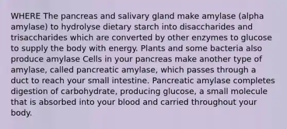 WHERE The pancreas and salivary gland make amylase (alpha amylase) to hydrolyse dietary starch into disaccharides and trisaccharides which are converted by other enzymes to glucose to supply the body with energy. Plants and some bacteria also produce amylase Cells in your pancreas make another type of amylase, called pancreatic amylase, which passes through a duct to reach your small intestine. Pancreatic amylase completes digestion of carbohydrate, producing glucose, a small molecule that is absorbed into your blood and carried throughout your body.