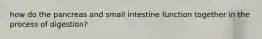 how do the pancreas and small intestine function together in the process of digestion?