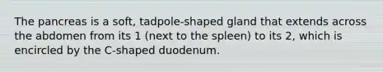 The pancreas is a soft, tadpole-shaped gland that extends across the abdomen from its 1 (next to the spleen) to its 2, which is encircled by the C-shaped duodenum.