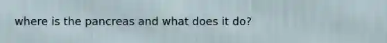 where is the pancreas and what does it do?