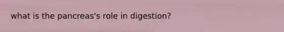 what is the pancreas's role in digestion?