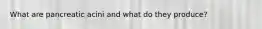 What are pancreatic acini and what do they produce?