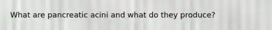 What are pancreatic acini and what do they produce?