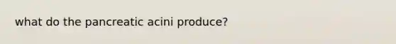 what do the pancreatic acini produce?