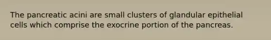 The pancreatic acini are small clusters of glandular epithelial cells which comprise the exocrine portion of the pancreas.