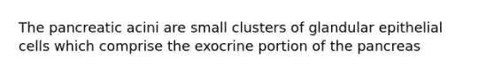 The pancreatic acini are small clusters of glandular epithelial cells which comprise the exocrine portion of the pancreas