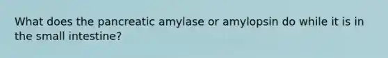 What does the pancreatic amylase or amylopsin do while it is in the small intestine?