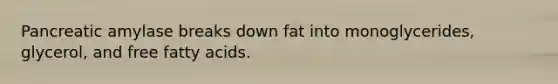 Pancreatic amylase breaks down fat into monoglycerides, glycerol, and free fatty acids.