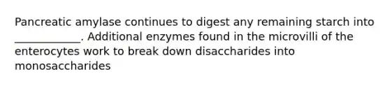 Pancreatic amylase continues to digest any remaining starch into ____________. Additional enzymes found in the microvilli of the enterocytes work to break down disaccharides into monosaccharides