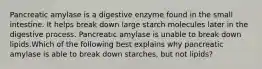 Pancreatic amylase is a digestive enzyme found in the small intestine. It helps break down large starch molecules later in the digestive process. Pancreatic amylase is unable to break down lipids.Which of the following best explains why pancreatic amylase is able to break down starches, but not lipids?