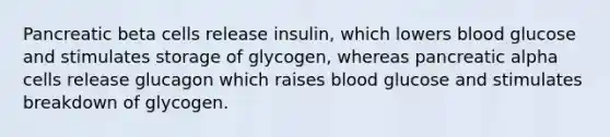 Pancreatic beta cells release insulin, which lowers blood glucose and stimulates storage of glycogen, whereas pancreatic alpha cells release glucagon which raises blood glucose and stimulates breakdown of glycogen.