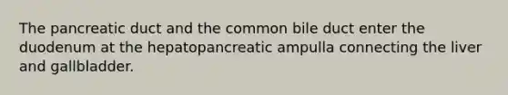 The pancreatic duct and the common bile duct enter the duodenum at the hepatopancreatic ampulla connecting the liver and gallbladder.