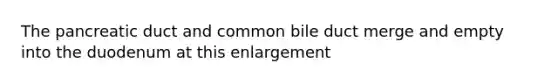 The pancreatic duct and common bile duct merge and empty into the duodenum at this enlargement