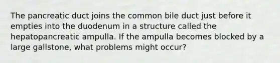 The pancreatic duct joins the common bile duct just before it empties into the duodenum in a structure called the hepatopancreatic ampulla. If the ampulla becomes blocked by a large gallstone, what problems might occur?