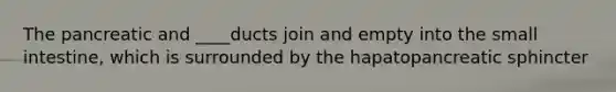 The pancreatic and ____ducts join and empty into the small intestine, which is surrounded by the hapatopancreatic sphincter