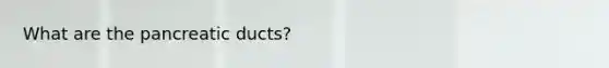 What are the pancreatic ducts?