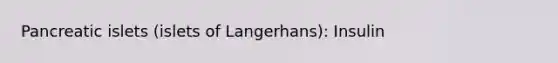 Pancreatic islets (islets of Langerhans): Insulin