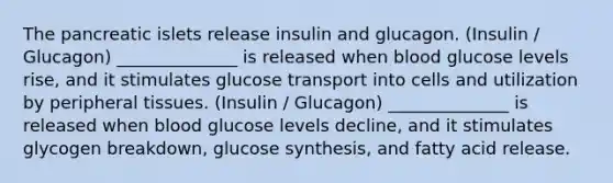 The pancreatic islets release insulin and glucagon. (Insulin / Glucagon) ______________ is released when blood glucose levels rise, and it stimulates glucose transport into cells and utilization by peripheral tissues. (Insulin / Glucagon) ______________ is released when blood glucose levels decline, and it stimulates glycogen breakdown, glucose synthesis, and fatty acid release.