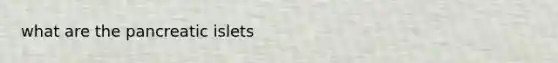 what are the pancreatic islets