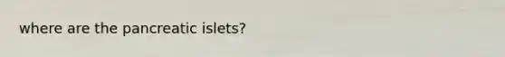 where are the pancreatic islets?