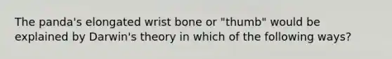 The panda's elongated wrist bone or "thumb" would be explained by Darwin's theory in which of the following ways?