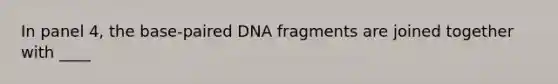 In panel 4, the base-paired DNA fragments are joined together with ____