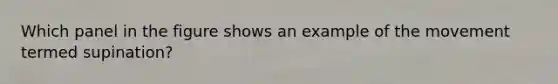 Which panel in the figure shows an example of the movement termed supination?