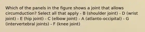 Which of the panels in the figure shows a joint that allows circumduction? Select all that apply - B (shoulder joint) - D (wrist joint) - E (hip joint) - C (elbow joint) - A (atlanto-occipital) - G (intervertebral joints) - F (knee joint)