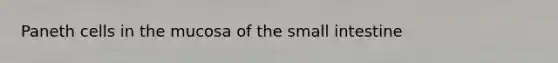 Paneth cells in the mucosa of <a href='https://www.questionai.com/knowledge/kt623fh5xn-the-small-intestine' class='anchor-knowledge'>the small intestine</a>