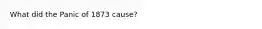 What did the Panic of 1873 cause?