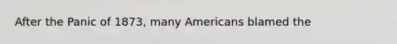 After the Panic of 1873, many Americans blamed the