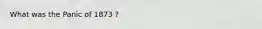 What was the Panic of 1873 ?