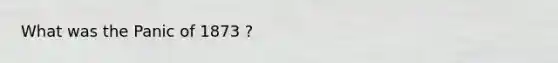 What was the Panic of 1873 ?