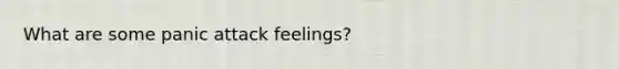 What are some panic attack feelings?