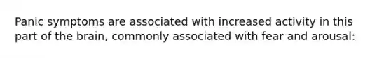 Panic symptoms are associated with increased activity in this part of the brain, commonly associated with fear and arousal: