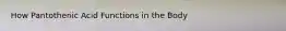 How Pantothenic Acid Functions in the Body