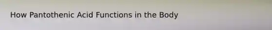 How Pantothenic Acid Functions in the Body