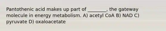 Pantothenic acid makes up part of ________, the gateway molecule in energy metabolism. A) acetyl CoA B) NAD C) pyruvate D) oxaloacetate