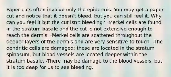 Paper cuts often involve only the epidermis. You may get a paper cut and notice that it doesn't bleed, but you can still feel it. Why can you feel it but the cut isn't bleeding? -Merkel cells are found in the stratum basale and the cut is not extensive enough to reach the dermis. -Merkel cells are scattered throughout the deeper layers of the dermis and are very sensitive to touch. -The dendritic cells are damaged; these are located in the stratum spinosum, but blood vessels are located deeper within the stratum basale. -There may be damage to the blood vessels, but it is too deep for us to see bleeding.