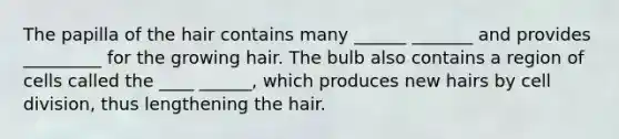 The papilla of the hair contains many ______ _______ and provides _________ for the growing hair. The bulb also contains a region of cells called the ____ ______, which produces new hairs by cell division, thus lengthening the hair.