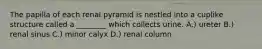 The papilla of each renal pyramid is nestled into a cuplike structure called a ________ which collects urine. A.) ureter B.) renal sinus C.) minor calyx D.) renal column