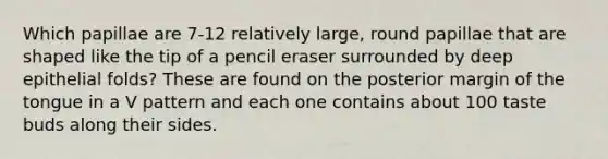 Which papillae are 7-12 relatively large, round papillae that are shaped like the tip of a pencil eraser surrounded by deep epithelial folds? These are found on the posterior margin of the tongue in a V pattern and each one contains about 100 taste buds along their sides.