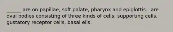 ______ are on papillae, soft palate, pharynx and epiglottis-- are oval bodies consisting of three kinds of cells: supporting cells, gustatory receptor cells, basal ells.