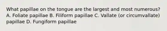 What papillae on the tongue are the largest and most numerous? A. Foliate papillae B. Filiform papillae C. Vallate (or circumvallate) papillae D. Fungiform papillae