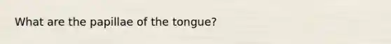 What are the papillae of the tongue?