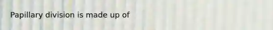 Papillary division is made up of