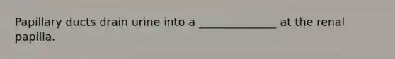 Papillary ducts drain urine into a ______________ at the renal papilla.